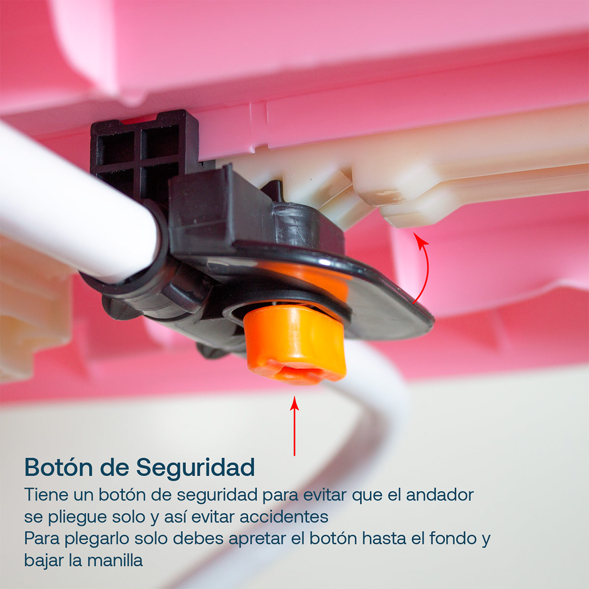 ANDADOR BEBESIT DISCOVER & PLA AZUL - 5
