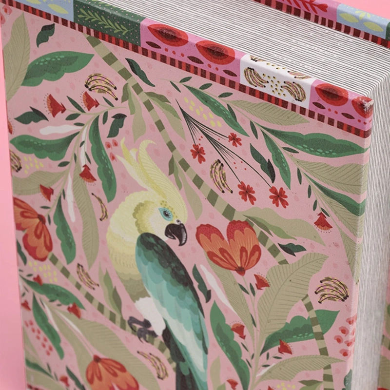 CAJA LIBRO RIPLEY HOME LA NEGRA MARÍA PÁJARO - 4