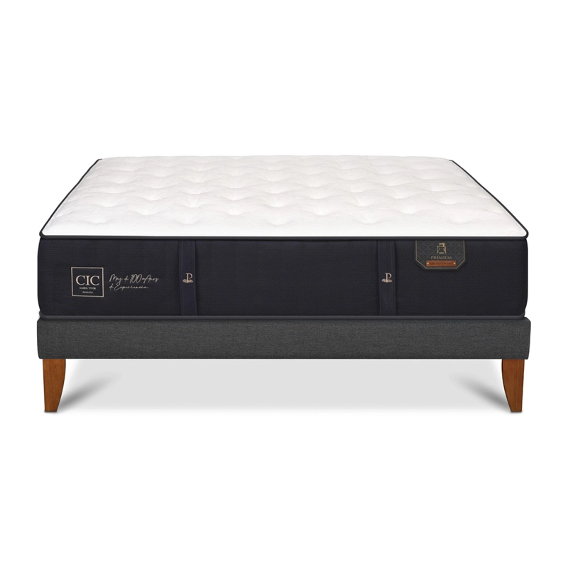 CAMA EUROPEA CIC PREMIUM SUPER KING GRIS - 1