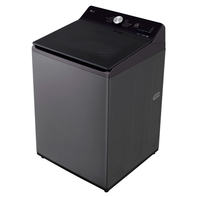 LAVADORA CARGA SUPERIOR LG WT19PBTX6 19KG GRAFITO - 5