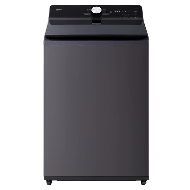 LAVADORA CARGA SUPERIOR LG WT25EGTX6 25KG GRAFITO - 2