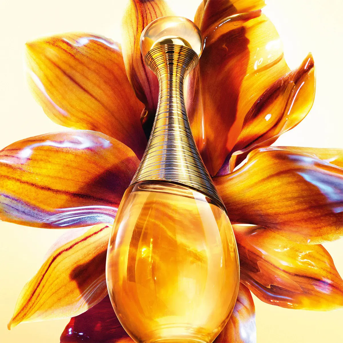 PERFUME MUJER DIOR J'ADORE INTENSE - 5