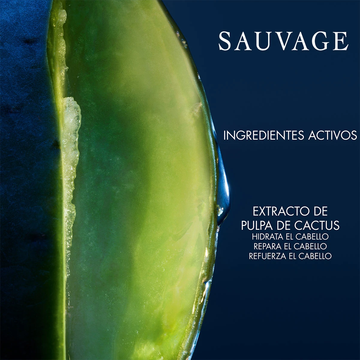 SHAMPOO HIDRATANTE DIOR SAUVAGE 250ML - 4
