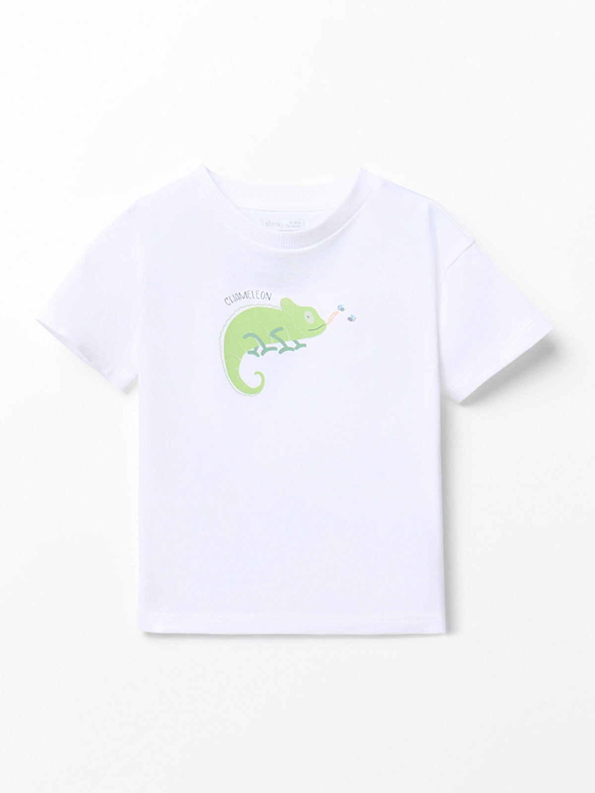 POLERA NIÑO SFERA MANGA CORTA - 4