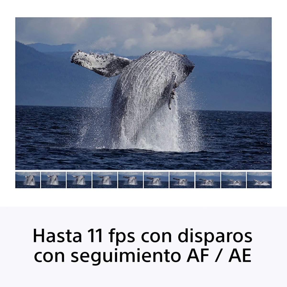 CÁMARA MIRRORLESS SONY APS-C ILCE-6100X: A6100 + LENTE SELP16502 + LENTE SEL55210 - 16
