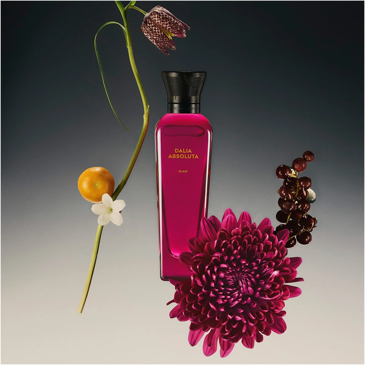 ESTUCHE PERFUME MUJER ADOLFO DOMINGUEZ DALIA ABSOLUTA ELIXIR PARFUM 120ML+10ML+75ML - 4