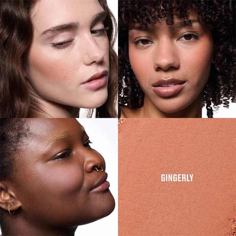RUBOR EN POLVO MAC SKINFINISH COLORSTRUCK BLUSH GINGERLY 4G - 3