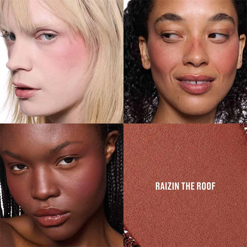 RUBOR EN POLVO MAC SKINFINISH COLORSTRUCK BLUSH RAISIN THE ROOF 4G - 3