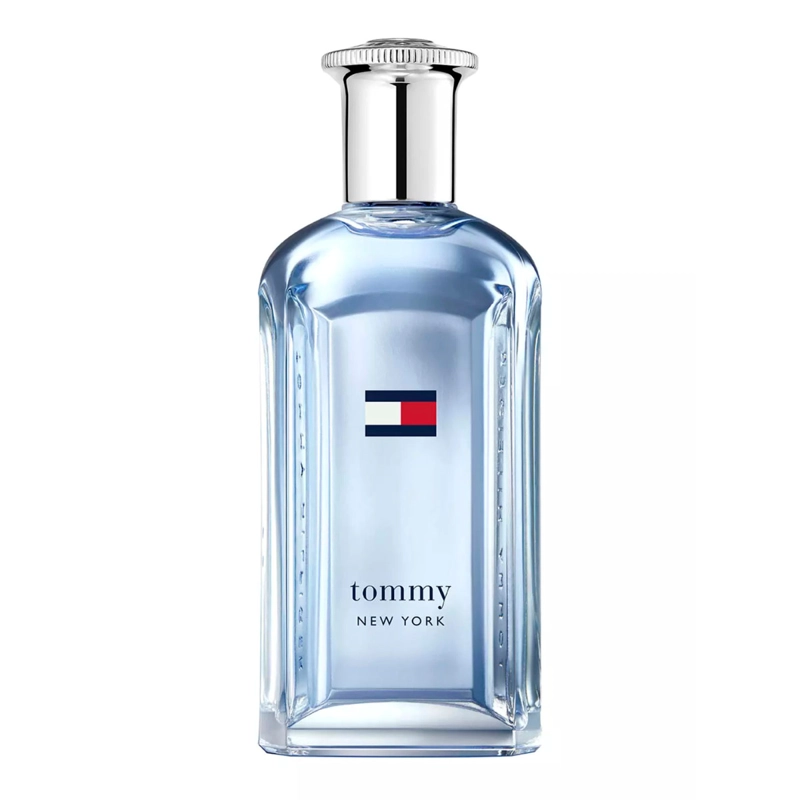 PERFUME HOMBRE TOMMY HILFIGER NEW YORK EDT 100ML - 1