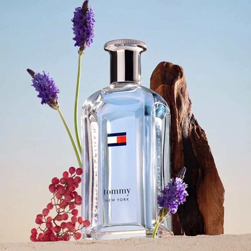 PERFUME HOMBRE TOMMY HILFIGER NEW YORK EDT 100ML - 3