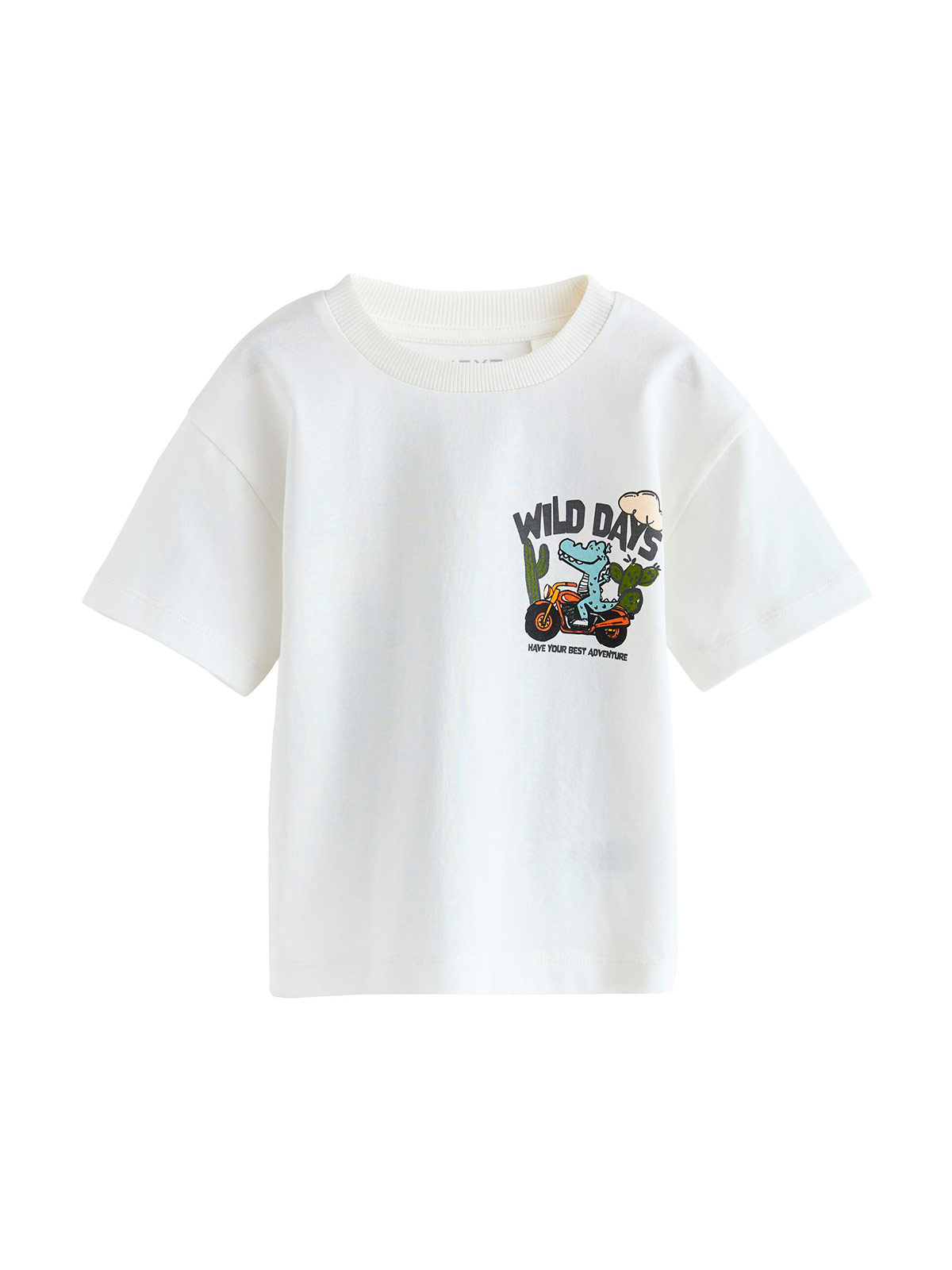 POLERA NIÑO NEXT ALGODÓN  - 1