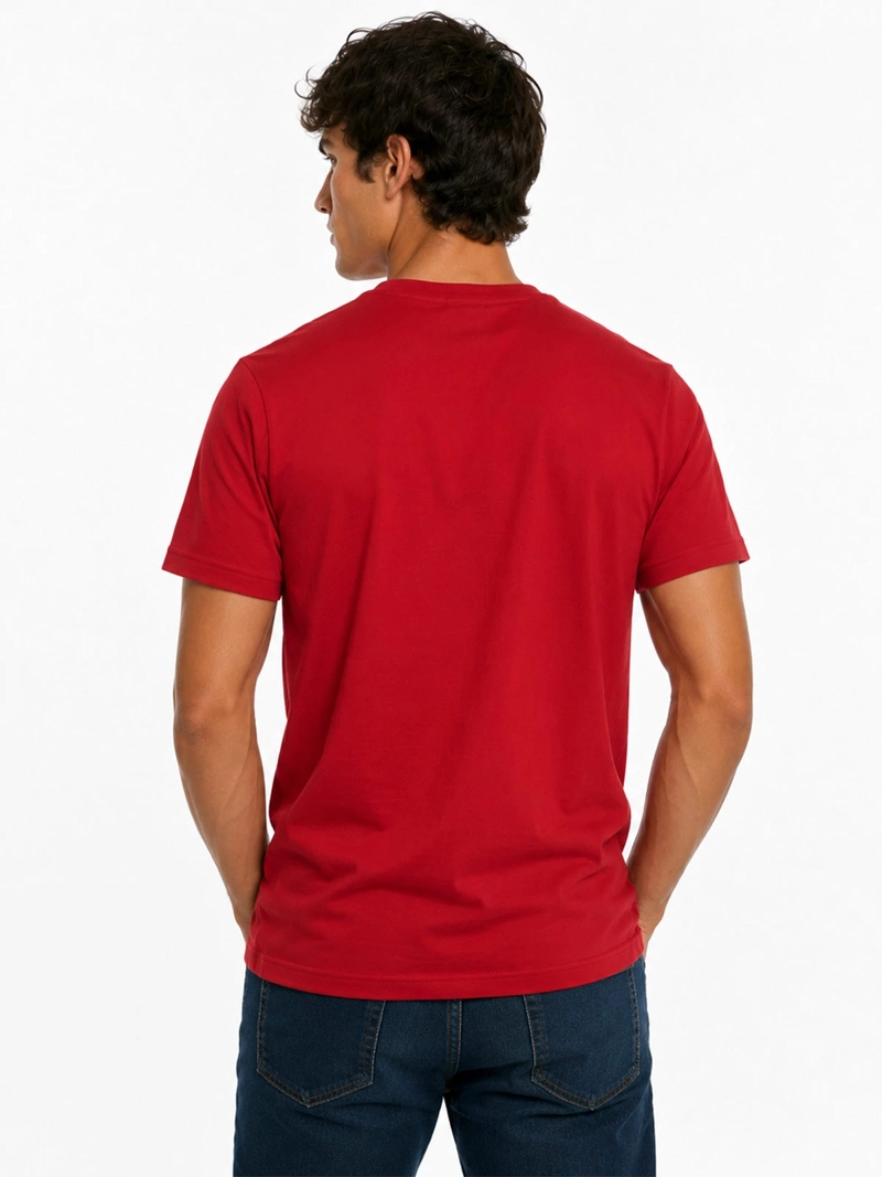 POLERA HOMBRE US POLO ASSN ALGODÓN MANGA CORTA - 2