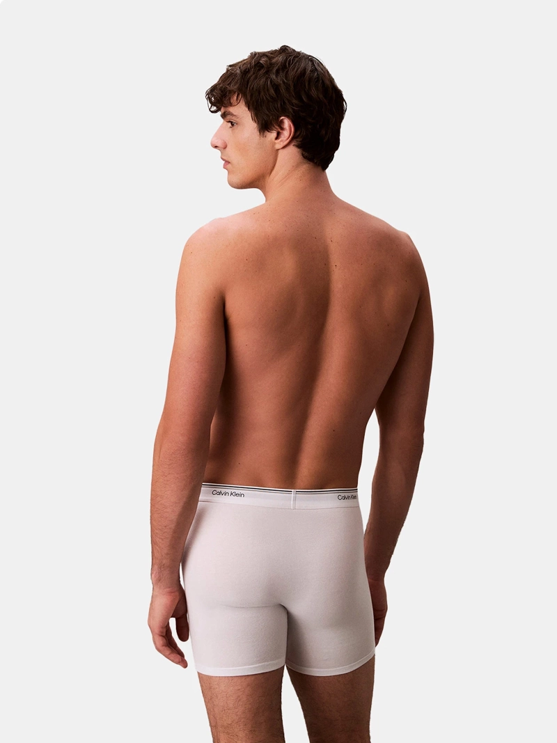PACK X3 BÓXER HOMBRE CALVIN KLEIN BRIEF - 3