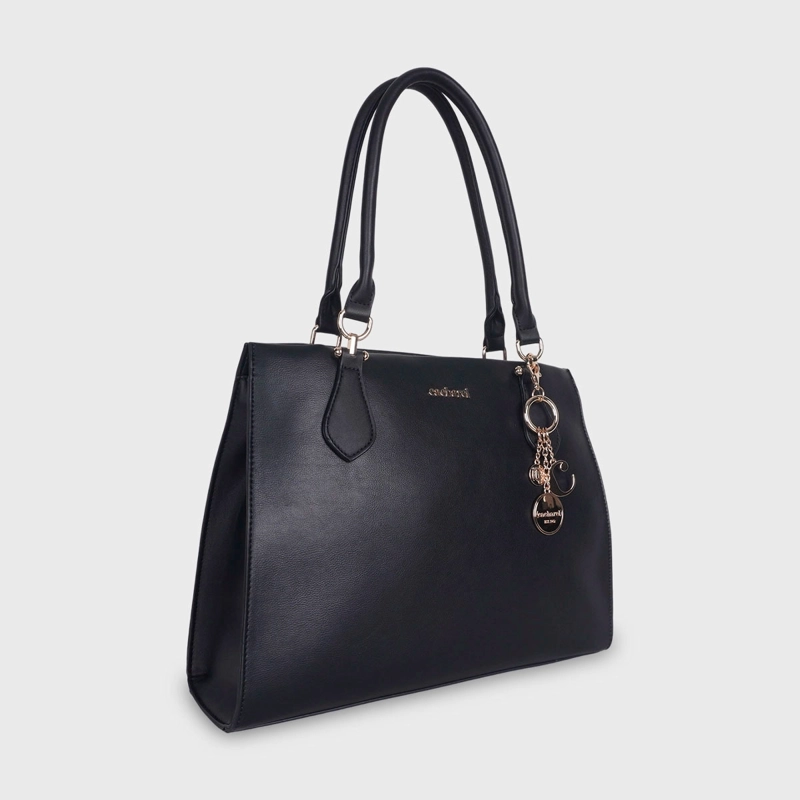 CARTERA CACHAREL CANA5  - 2