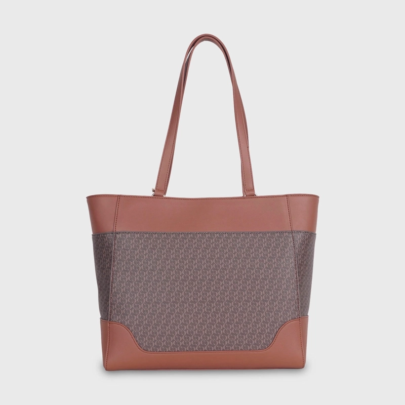 CARTERA CACHAREL CORNI2 - 4