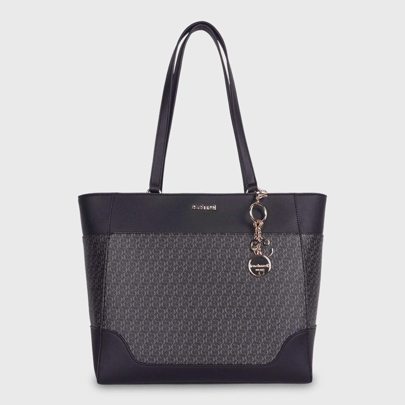 CARTERA CACHAREL CORNI2 - 1