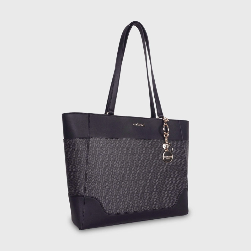 CARTERA CACHAREL CORNI2 - 2
