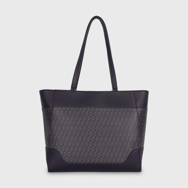CARTERA CACHAREL CORNI2 - 4