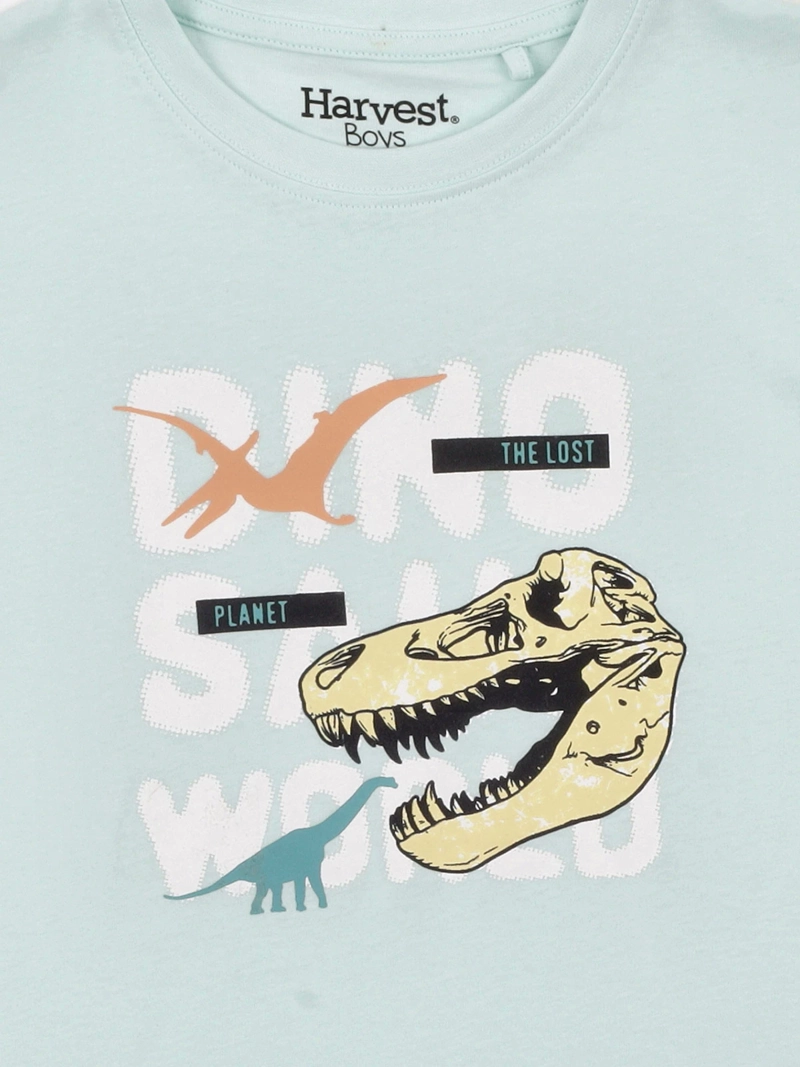 POLERA NIÑO HARVEST ALGODÓN MANGA CORTA - 5