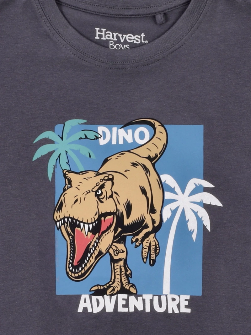 POLERA NIÑO HARVEST ALGODÓN MANGA CORTA - 5