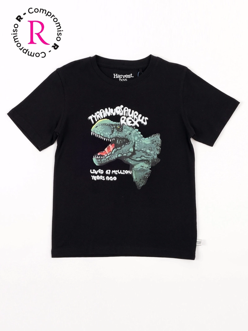POLERA NIÑO HARVEST ALGODÓN MANGA CORTA - 3