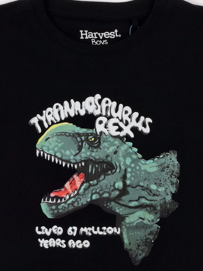 POLERA NIÑO HARVEST ALGODÓN MANGA CORTA - 5