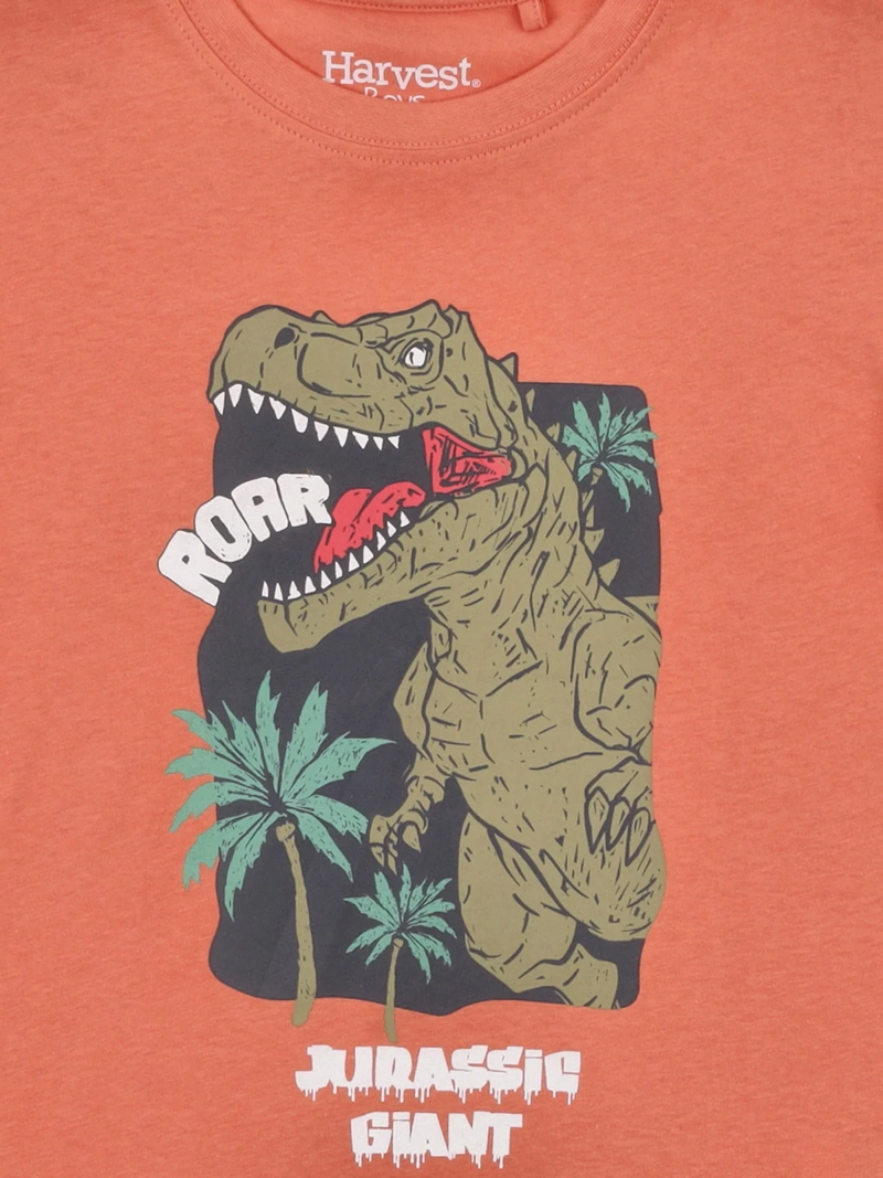 POLERA NIÑO HARVEST ALGODÓN MANGA CORTA - 5