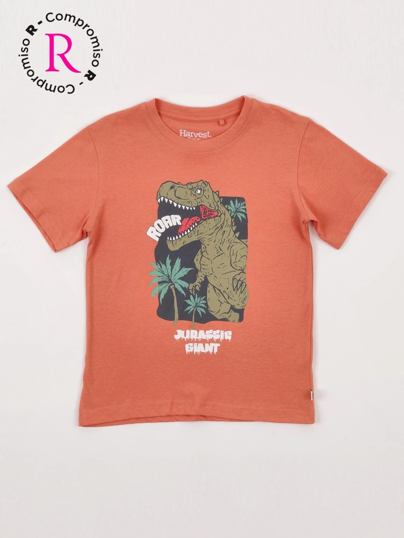 POLERA NIÑO HARVEST ALGODÓN MANGA CORTA - 3