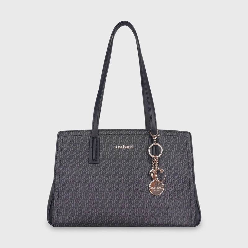 CARTERA CACHAREL CAFIN2