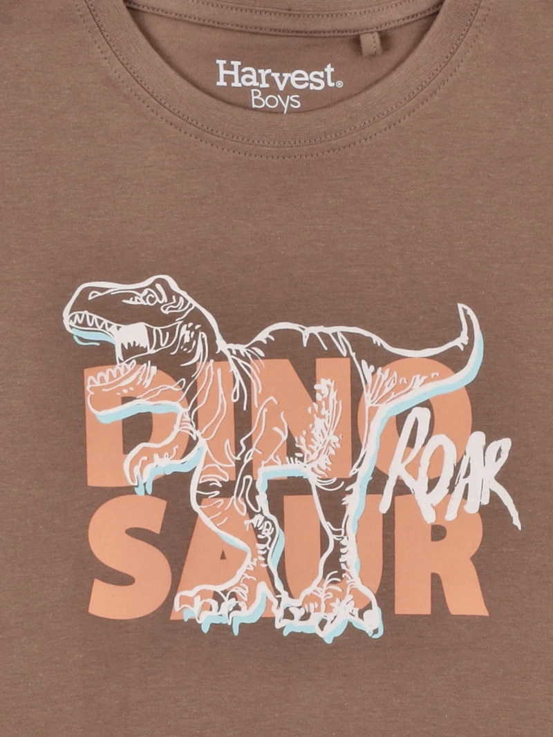 POLERA NIÑO HARVEST ALGODÓN MANGA CORTA - 5