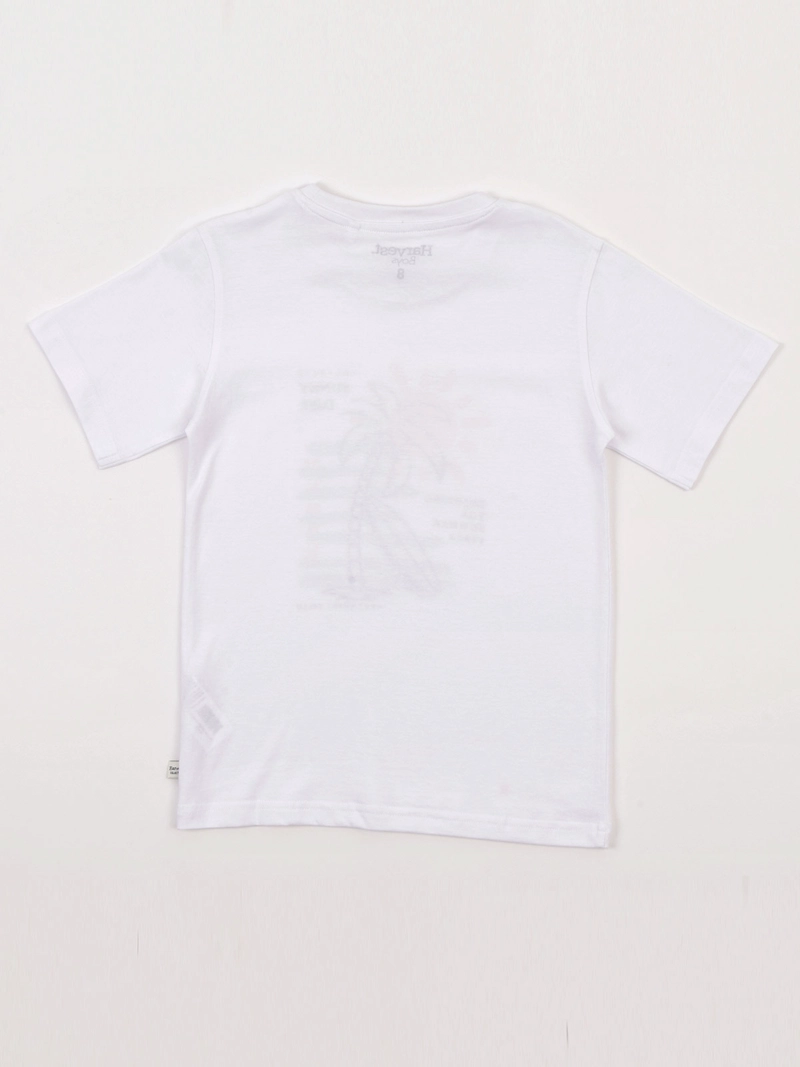 POLERA NIÑO HARVEST ALGODÓN MANGA CORTA - 4