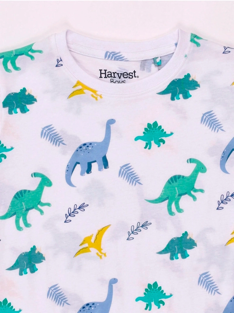 POLERA NIÑO HARVEST ALGODÓN MANGA CORTA PRINT - 5