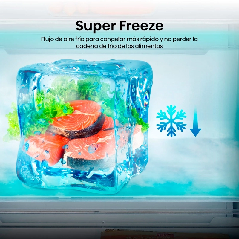 REFRIGERADOR BOTTOM FREEZER HISENSE RB3N300NMDA 304L NO FROST NEGRO - 10