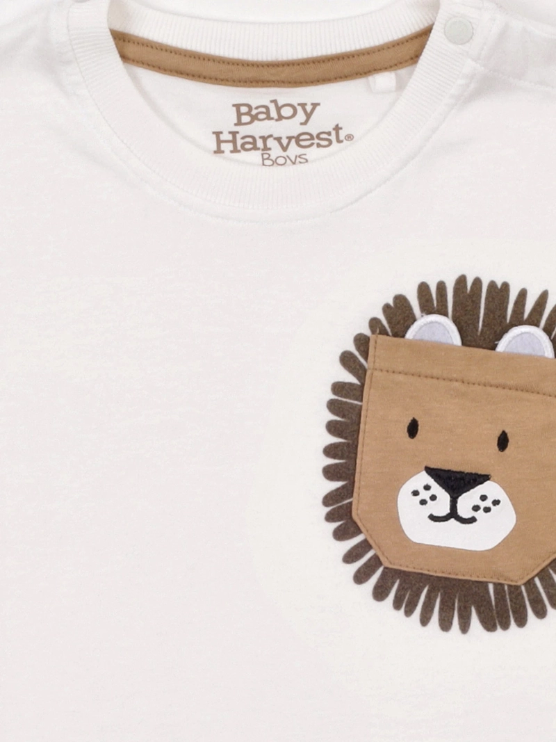 POLERA NIÑO BABY HARVEST ALGODÓN MANGA CORTA - 5