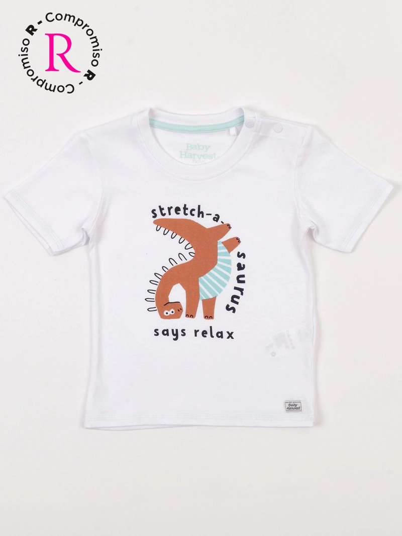 POLERA NIÑO BABY HARVEST ALGODÓN MANGA CORTA PRINT - 3