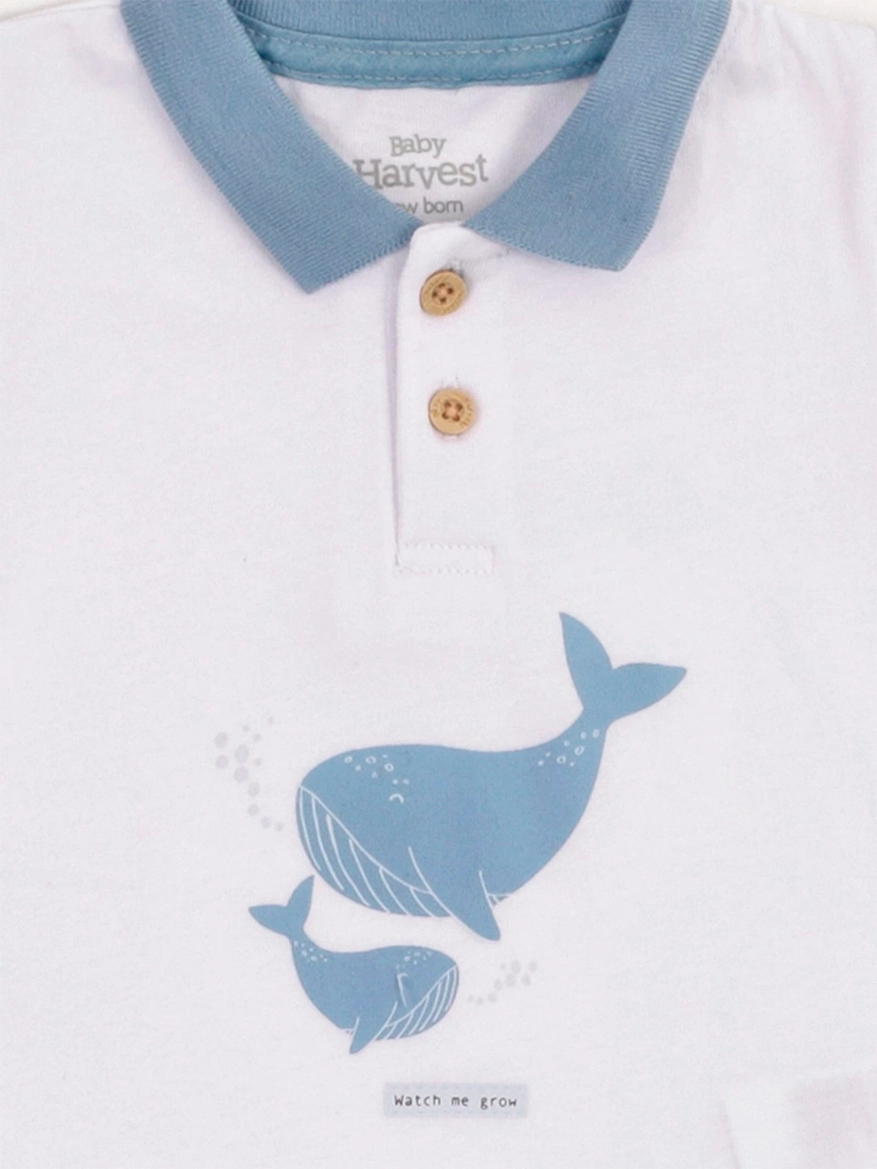 CONJUNTO POLERA + SHORT NIÑO BABY HARVEST ALGODÓN  - 3