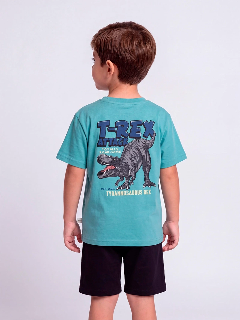 POLERA NIÑO HARVEST MANGA CORTA ALGODÓN PRINT ESPALDA - 2
