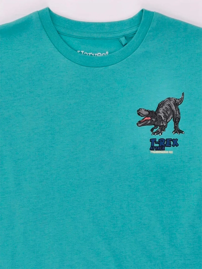 POLERA NIÑO HARVEST MANGA CORTA ALGODÓN PRINT ESPALDA - 5