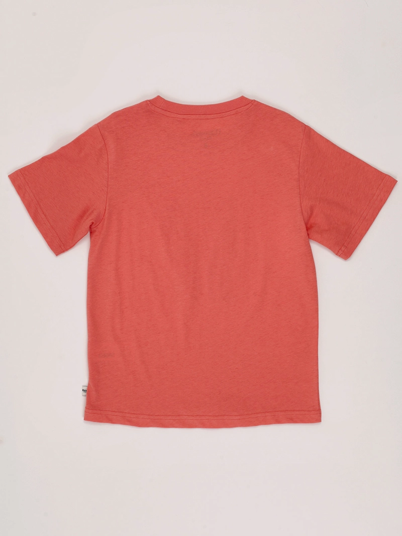 POLERA NIÑO HARVEST ALGODÓN MANGA CORTA - 2