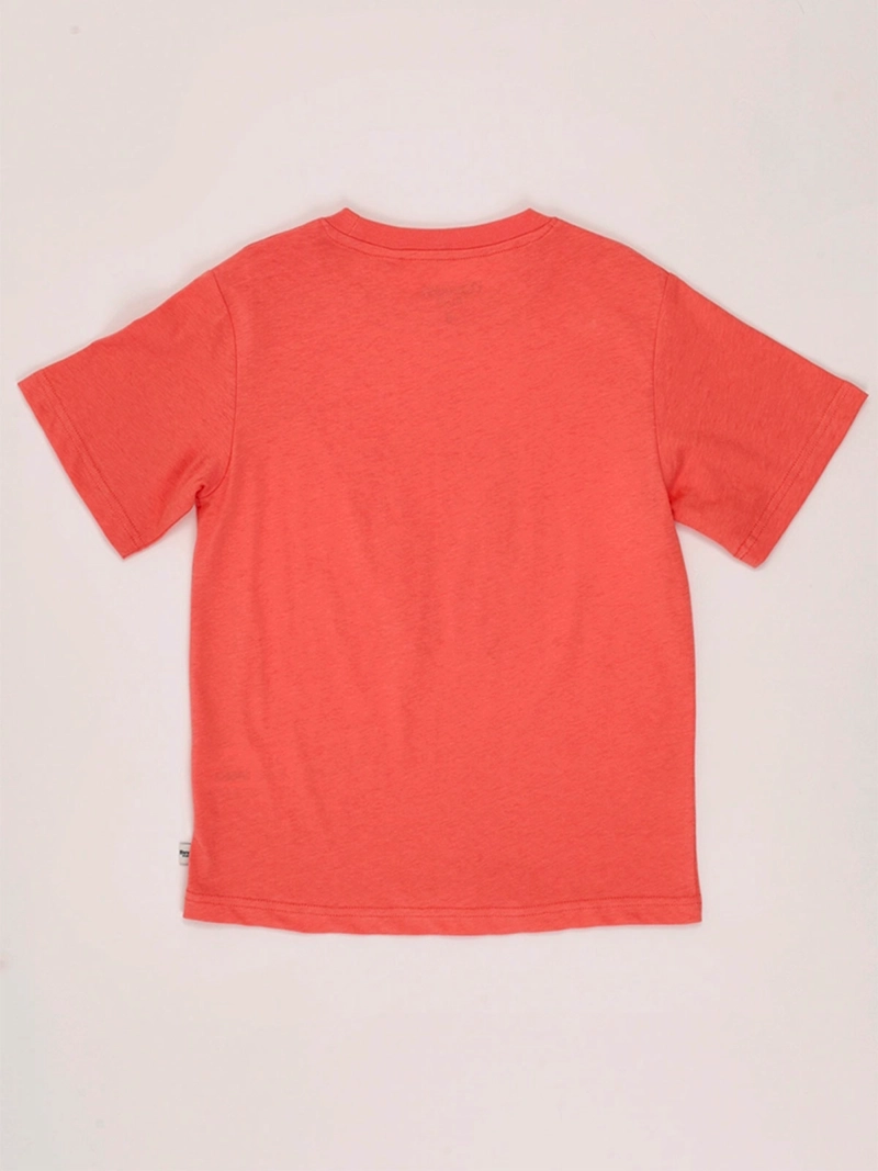 POLERA NIÑO HARVEST ALGODÓN MANGA CORTA - 2