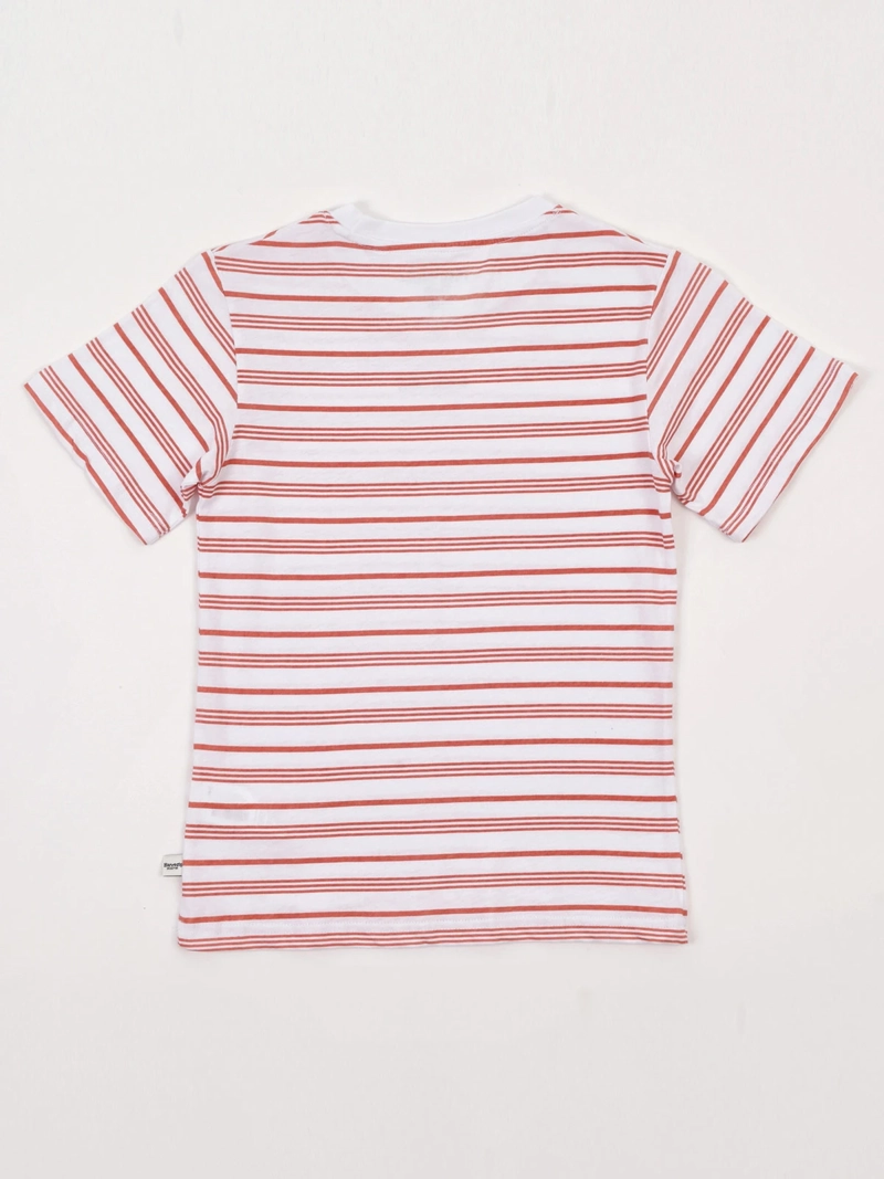 POLERA NIÑO HARVEST ALGODÓN MANGA CORTA - 4