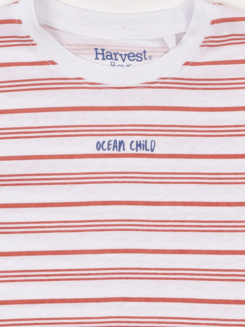 POLERA NIÑO HARVEST ALGODÓN MANGA CORTA - 5