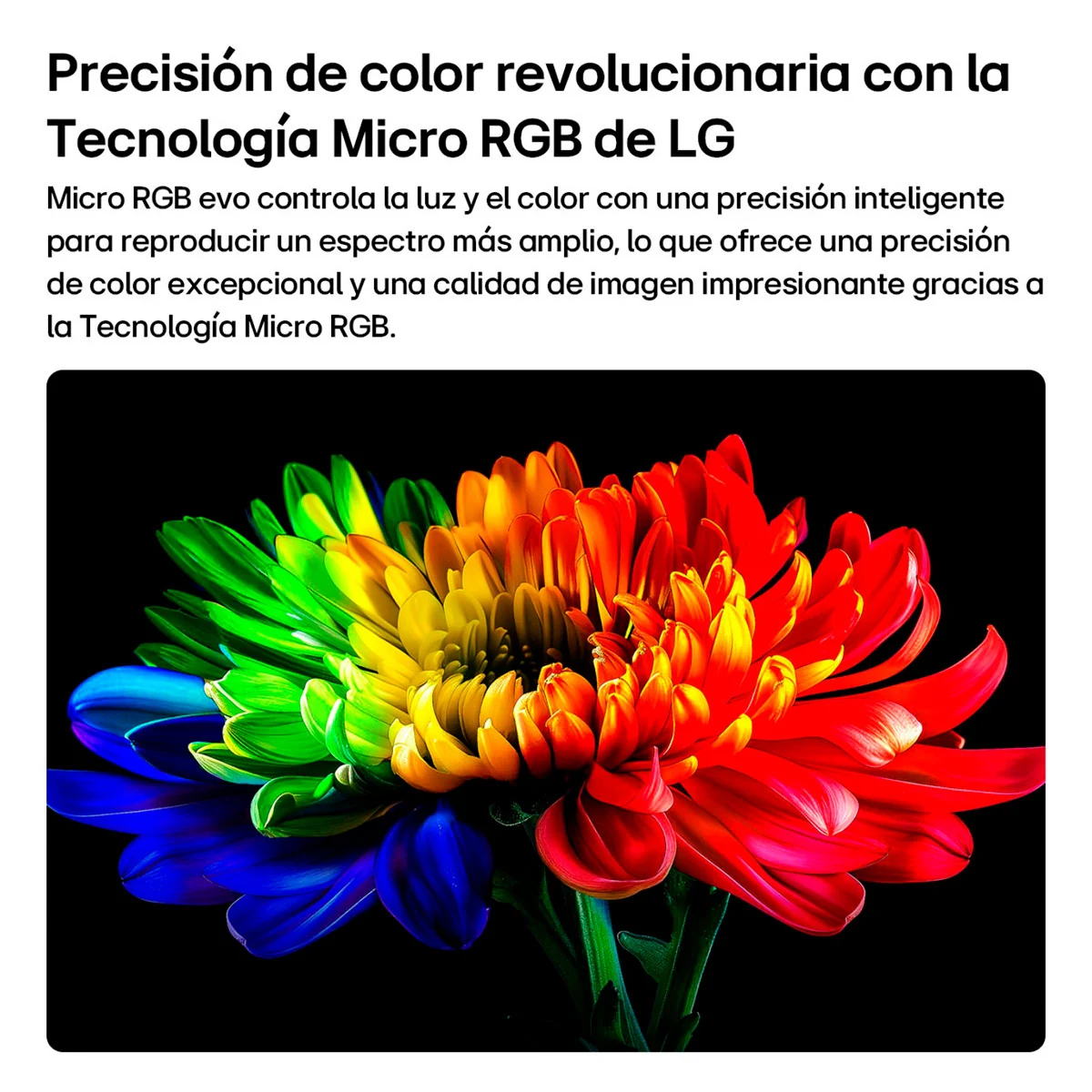 SMART TV LG MINI RGB 4K UHD 86” 86MRGB95BSA - 5