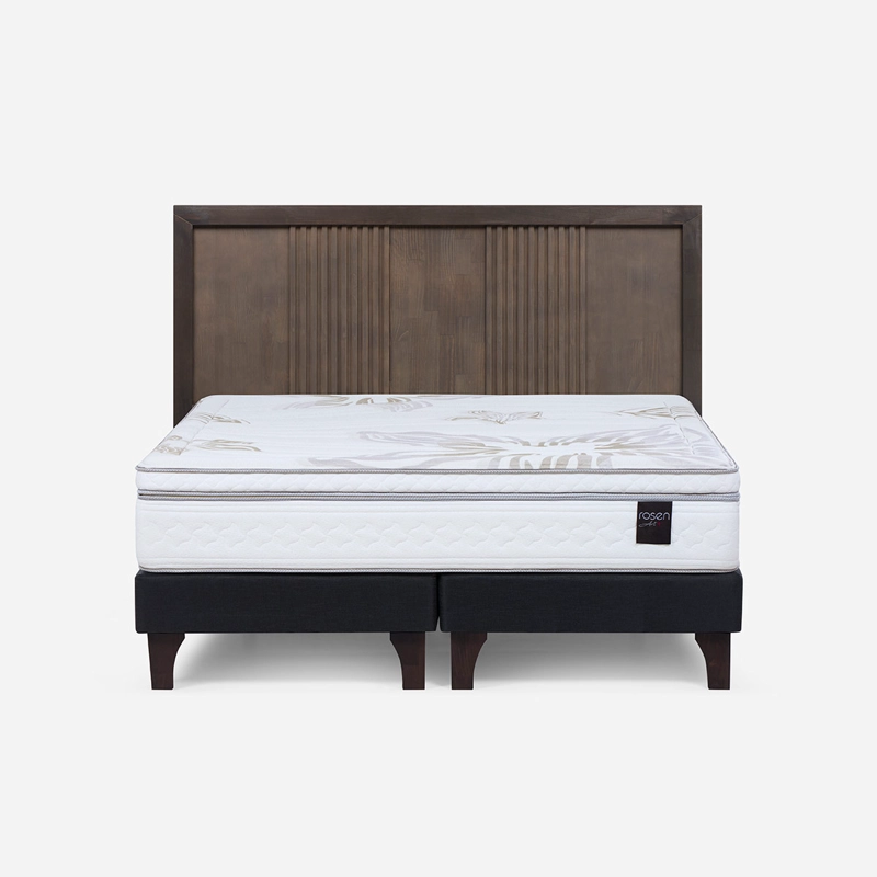 CAMA EUROPEA ROSEN ART 4 KING + RESPALDO MARCO - 1