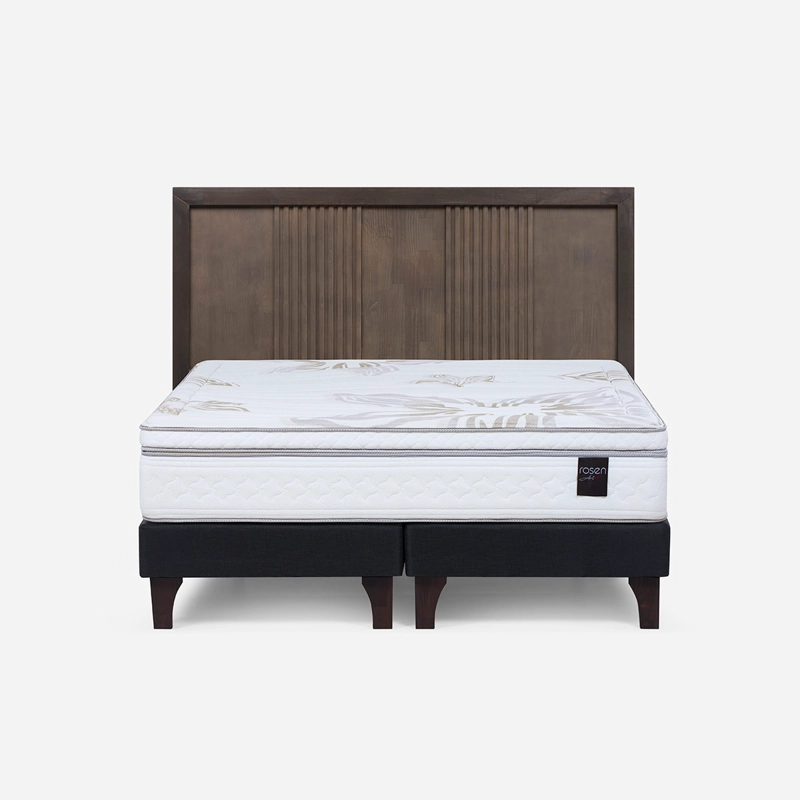 CAMA EUROPEA ROSEN ART 4 2 PLAZAS B/D + RESPALDO MARCO - 1