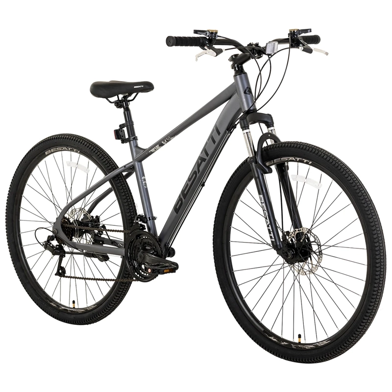 MOUNTAIN BIKE BESATTI VECTOR ARO 29 GRIS Gris, foto 2