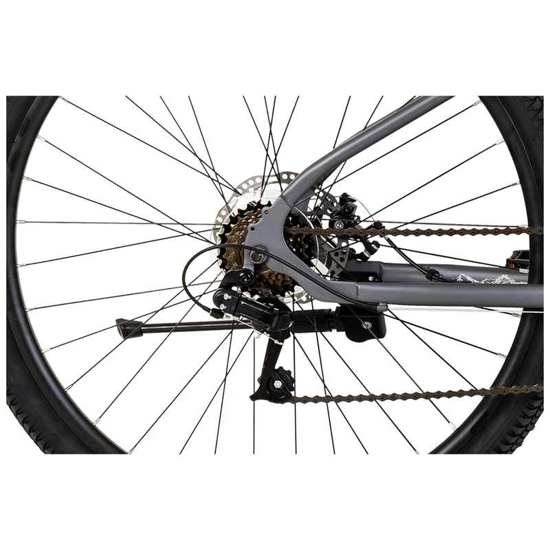 MOUNTAIN BIKE BESATTI VECTOR ARO 29 GRIS Gris, foto 3