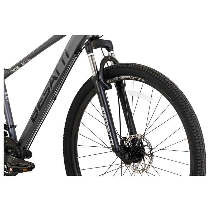 MOUNTAIN BIKE BESATTI VECTOR ARO 29 GRIS Gris, foto 6