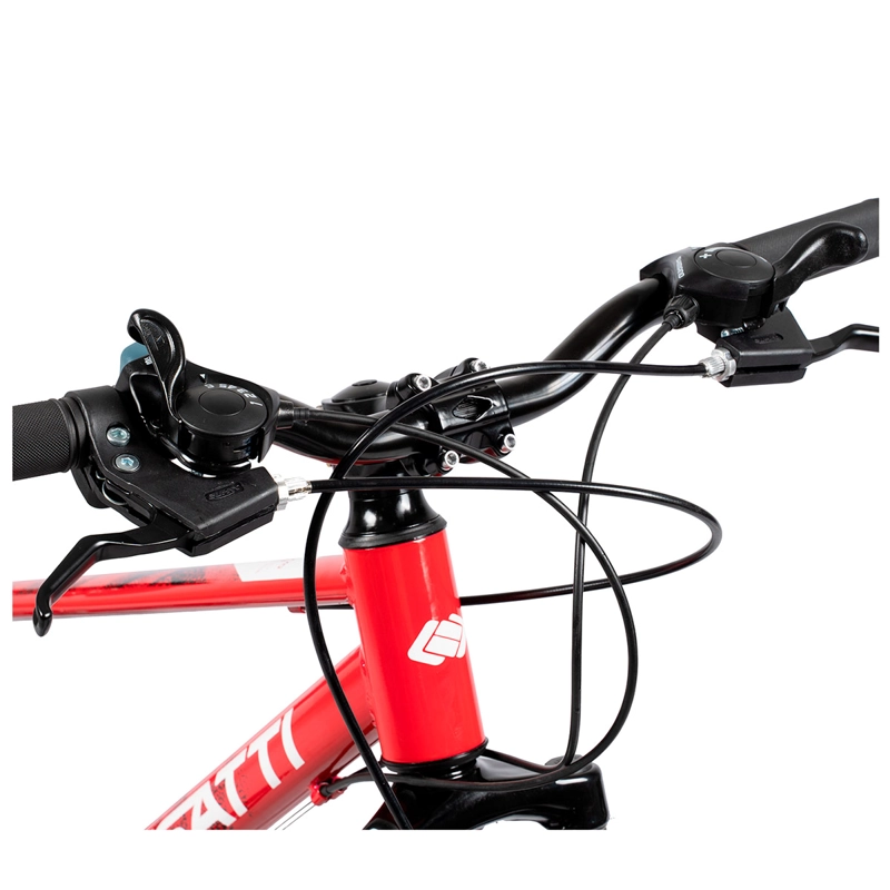 MOUNTAIN BIKE BESATTI AREZZO ARO 24 ROJO Rojo, foto 7