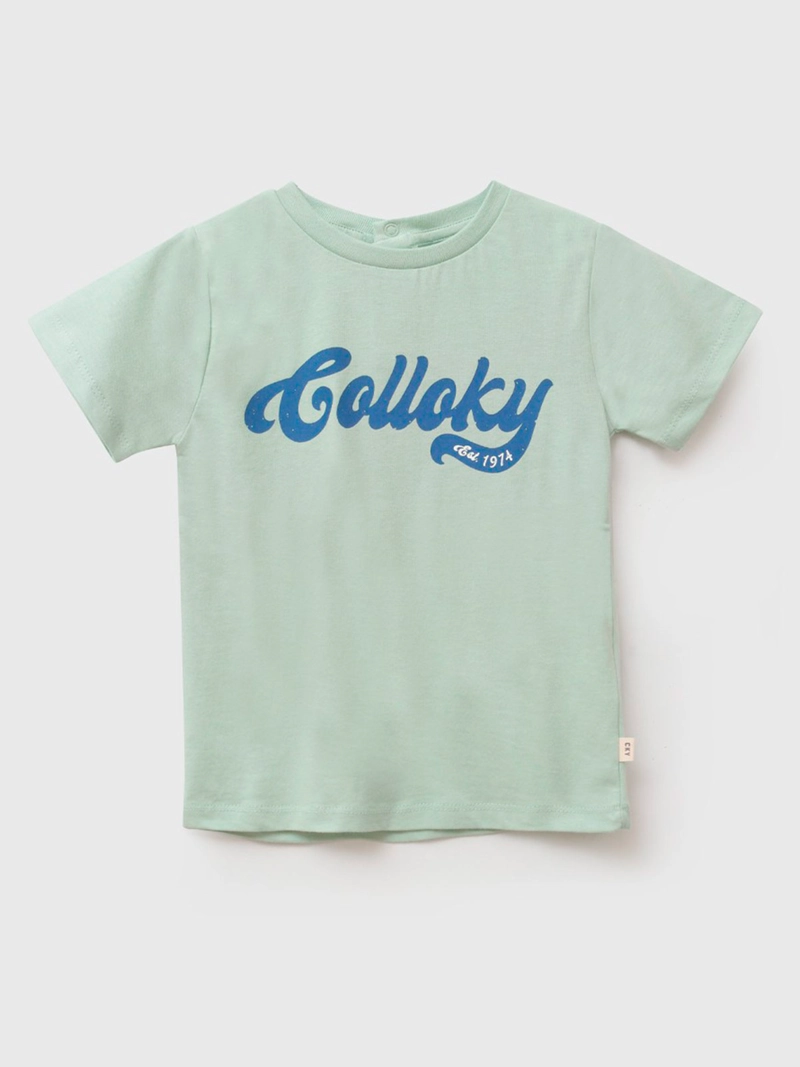 POLERA NIÑO COLLOKY MANGA CORTA ALGODÓN